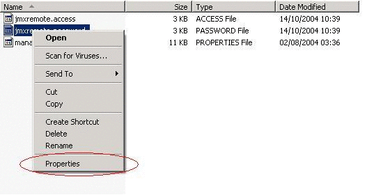 jmxremote.password ファイルのプロパティー表示